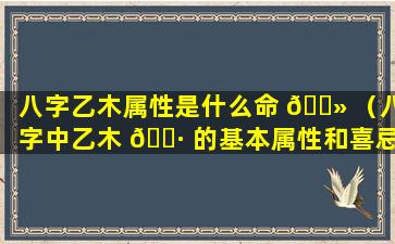 八字乙木属性是什么命 🌻 （八字中乙木 🕷 的基本属性和喜忌）